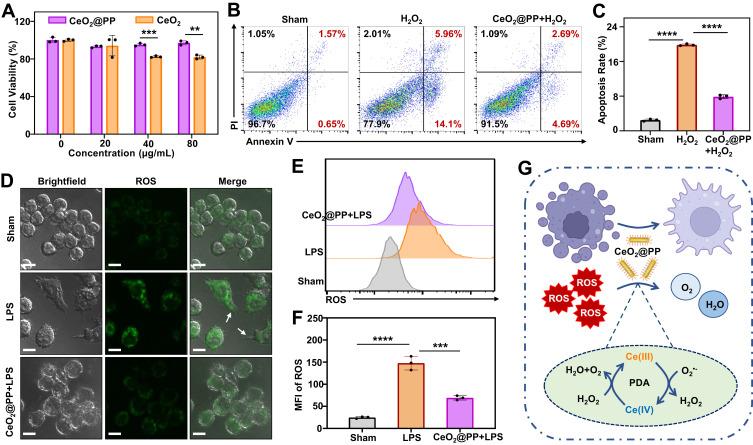 https://cdn.ncbi.nlm.nih.gov/pmc/blobs/18ad/10437713/c36249d9539d/IJN-18-4601-g0003.jpg