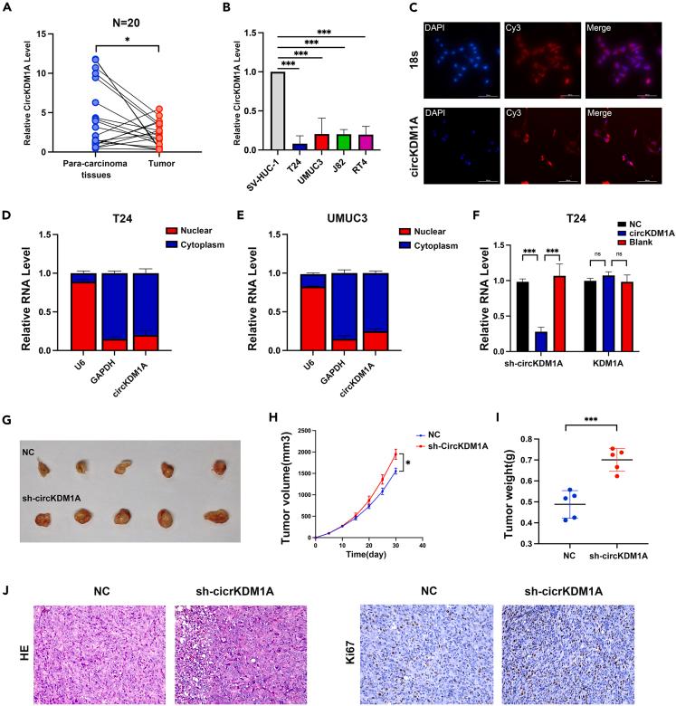 https://cdn.ncbi.nlm.nih.gov/pmc/blobs/18ad/11022052/b2e24b2bbe35/gr2.jpg