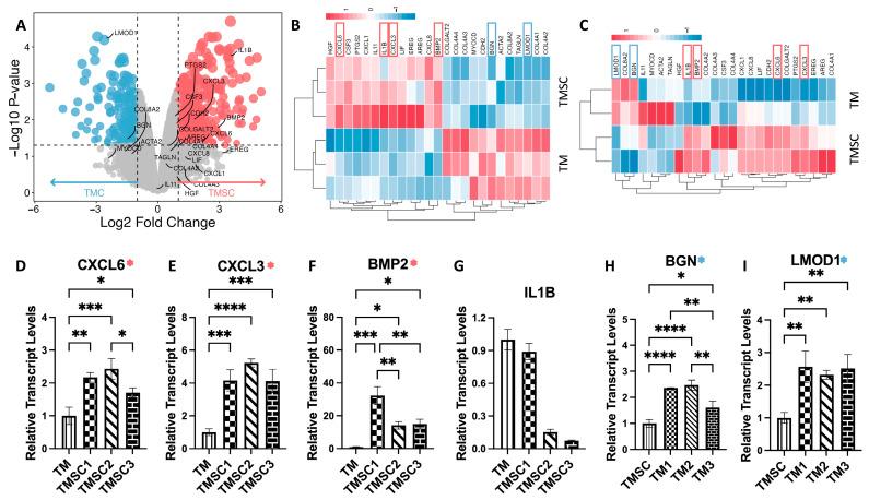 https://cdn.ncbi.nlm.nih.gov/pmc/blobs/18ad/12293446/84510f2f1689/cimb-47-00514-g005.jpg