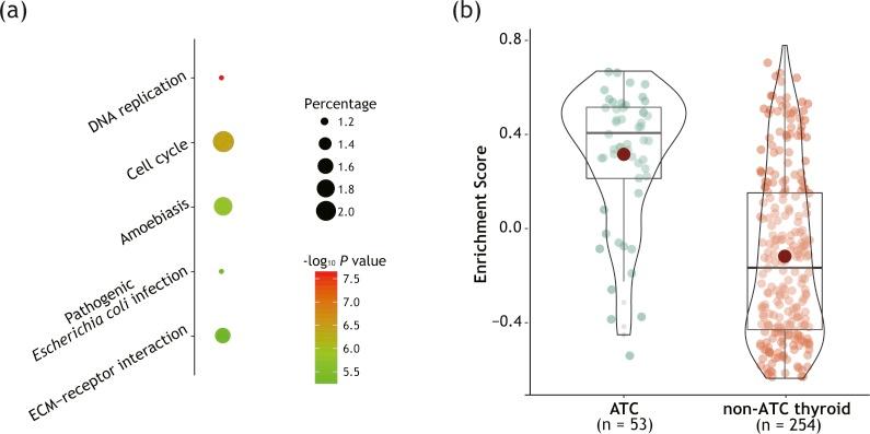 https://cdn.ncbi.nlm.nih.gov/pmc/blobs/18b0/6203939/fad358399326/peerj-06-5822-g003.jpg