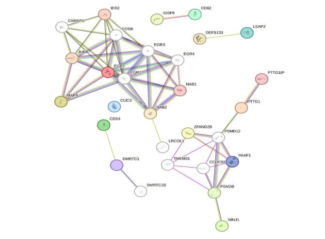 https://cdn.ncbi.nlm.nih.gov/pmc/blobs/18b2/12290190/2f1f5b2b9b96/APJCP-26-1483-g001.jpg