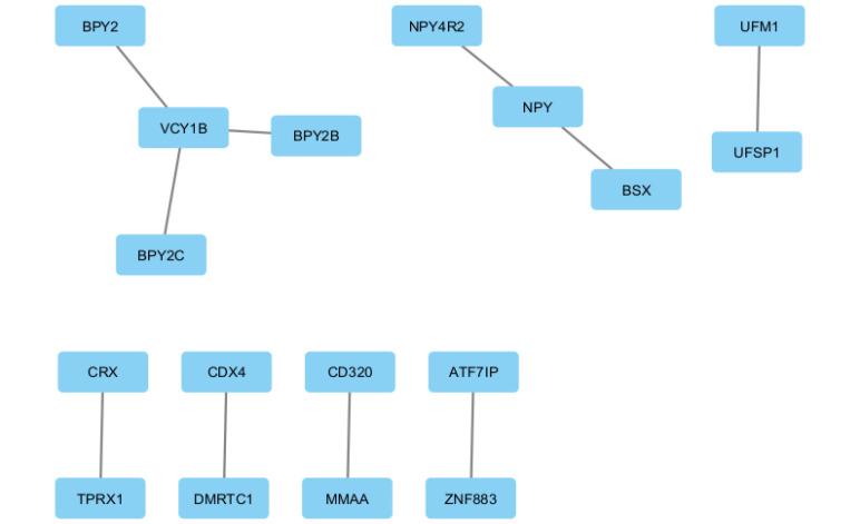 https://cdn.ncbi.nlm.nih.gov/pmc/blobs/18b2/12290190/98b05d77ab67/APJCP-26-1483-g004.jpg