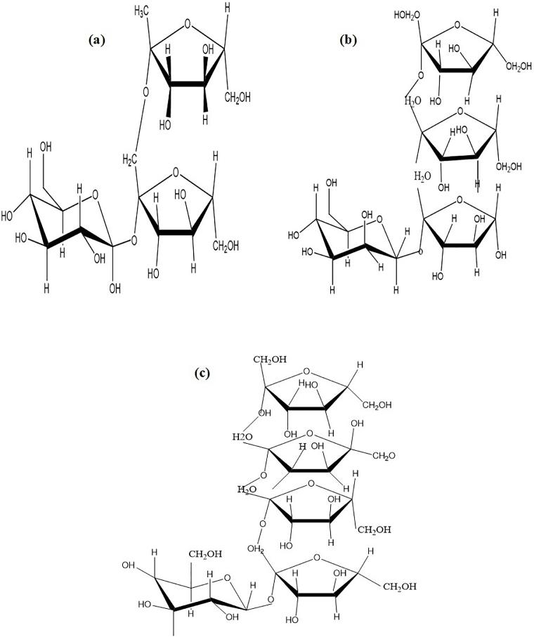 https://cdn.ncbi.nlm.nih.gov/pmc/blobs/18b2/8803601/5460a089c990/gr2.jpg