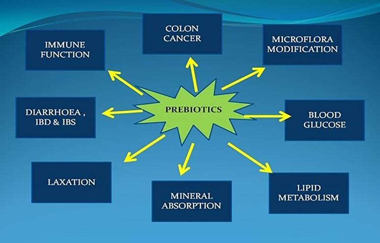 https://cdn.ncbi.nlm.nih.gov/pmc/blobs/18b2/8803601/e8759d2c084f/gr7.jpg