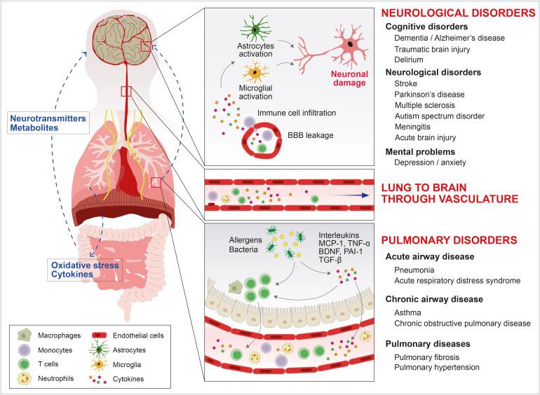 https://cdn.ncbi.nlm.nih.gov/pmc/blobs/18b3/11224666/09a6df5624a5/in-24-e20-g001.jpg