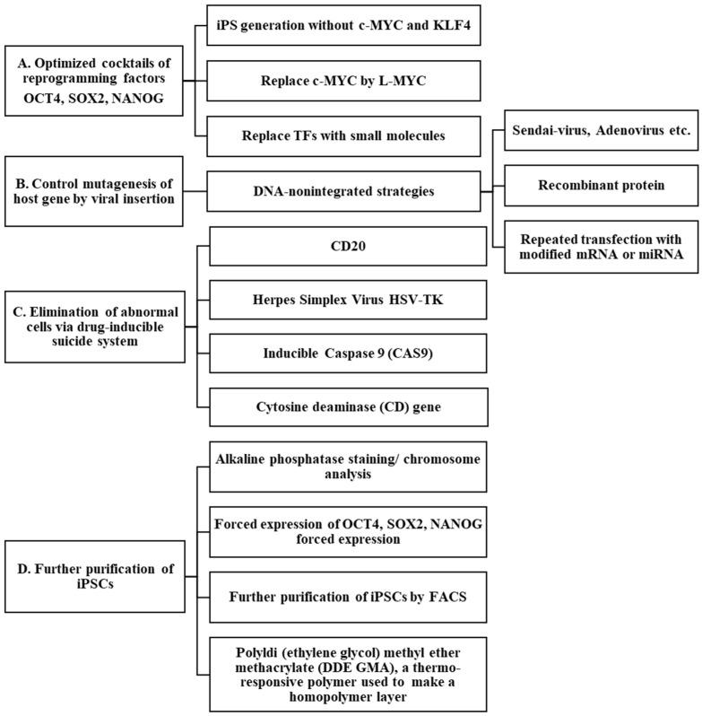 https://cdn.ncbi.nlm.nih.gov/pmc/blobs/18b4/11120835/8860893939dc/ijms-25-05177-g003.jpg