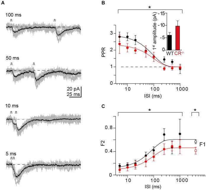 https://cdn.ncbi.nlm.nih.gov/pmc/blobs/18b4/4315043/a99a2e48e659/fncel-09-00027-g0003.jpg