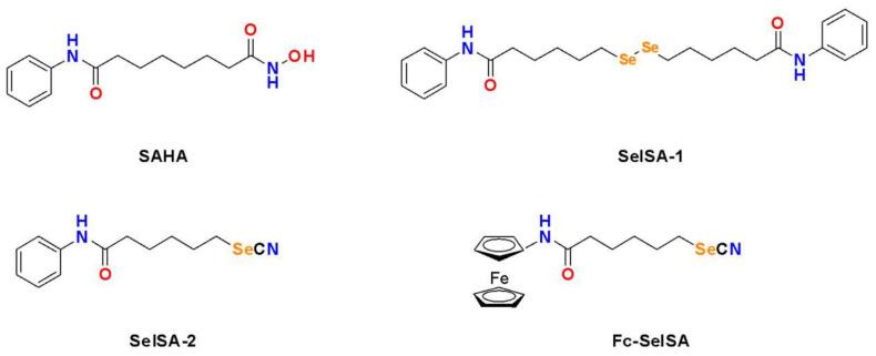 https://cdn.ncbi.nlm.nih.gov/pmc/blobs/18b4/8657714/8ec96e225bef/ijms-22-12952-g005.jpg