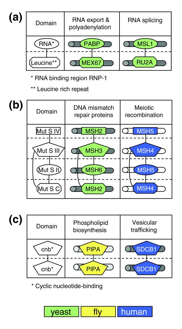 https://cdn.ncbi.nlm.nih.gov/pmc/blobs/18b8/1794438/385c46ff97fc/gb-2006-7-12-r125-3.jpg
