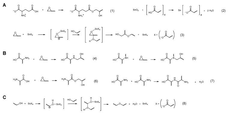 https://cdn.ncbi.nlm.nih.gov/pmc/blobs/18b8/8003902/fe146768fddb/polymers-13-00957-g004.jpg