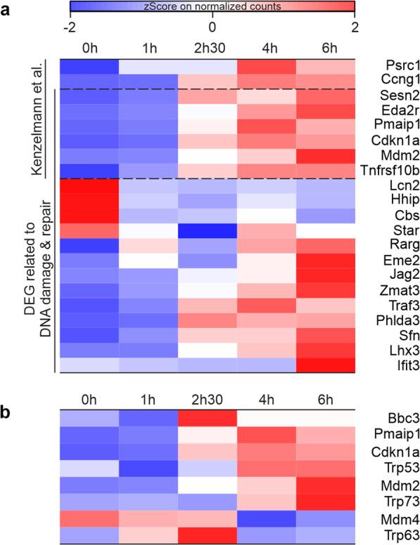 https://cdn.ncbi.nlm.nih.gov/pmc/blobs/18b8/8897389/16137ce7636b/41419_2022_4659_Fig4_HTML.jpg