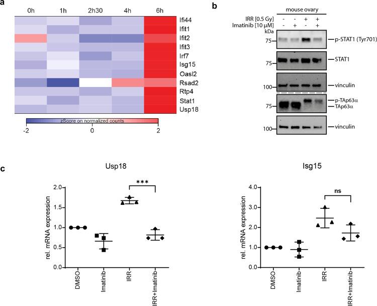 https://cdn.ncbi.nlm.nih.gov/pmc/blobs/18b8/8897389/4d331e76bfc3/41419_2022_4659_Fig5_HTML.jpg