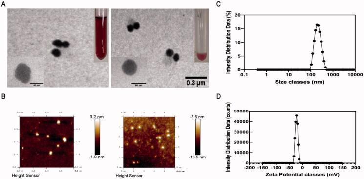 https://cdn.ncbi.nlm.nih.gov/pmc/blobs/18b8/8982465/f3d6a278f841/IDRD_A_2056664_F0003_C.jpg