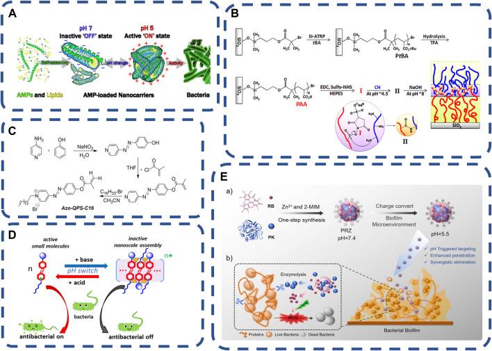 https://cdn.ncbi.nlm.nih.gov/pmc/blobs/18b8/9831006/29187a712680/fbioe-10-1069932-g003.jpg