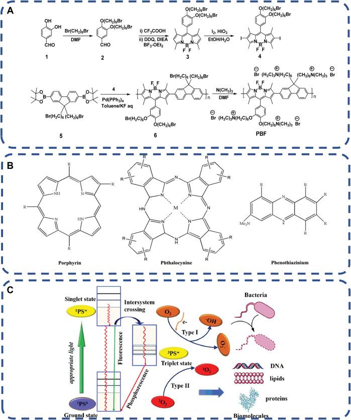 https://cdn.ncbi.nlm.nih.gov/pmc/blobs/18b8/9831006/ef1df4177326/fbioe-10-1069932-g005.jpg