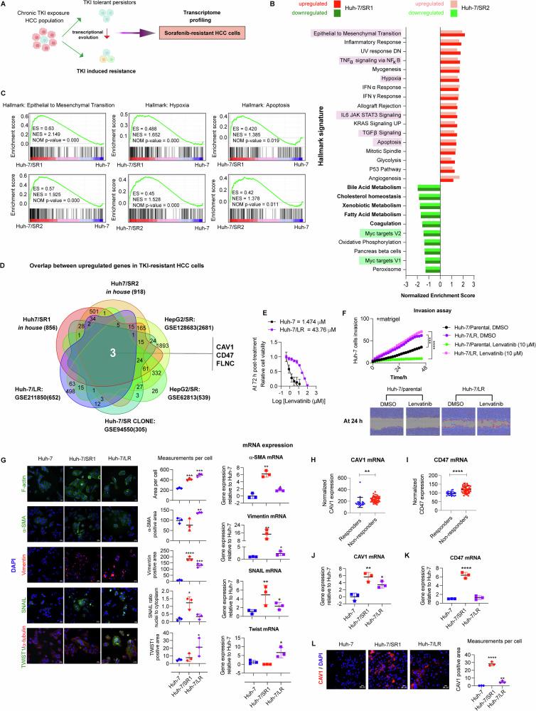https://cdn.ncbi.nlm.nih.gov/pmc/blobs/18b9/12297225/4d17c74a6610/41419_2025_7887_Fig1_HTML.jpg