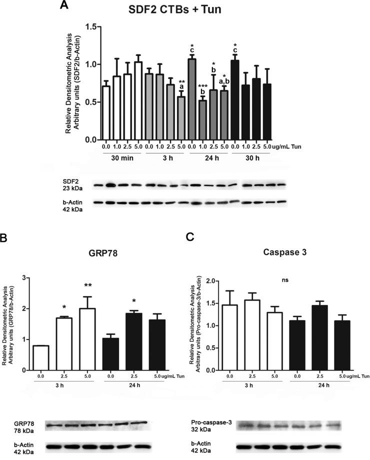 https://cdn.ncbi.nlm.nih.gov/pmc/blobs/18ba/5029474/7d904e095f9e/i0006-3363-95-2-41-f04.jpg