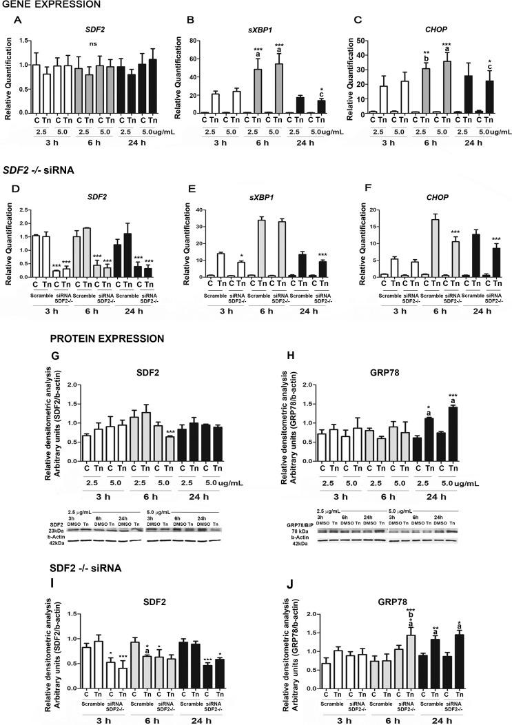 https://cdn.ncbi.nlm.nih.gov/pmc/blobs/18ba/5029474/d71ac3fa0359/i0006-3363-95-2-41-f05.jpg