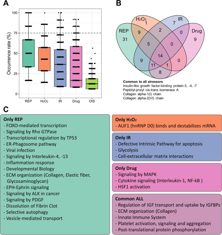 https://cdn.ncbi.nlm.nih.gov/pmc/blobs/18bb/10537976/503d538821dd/12964_2023_1280_Fig7_HTML.jpg