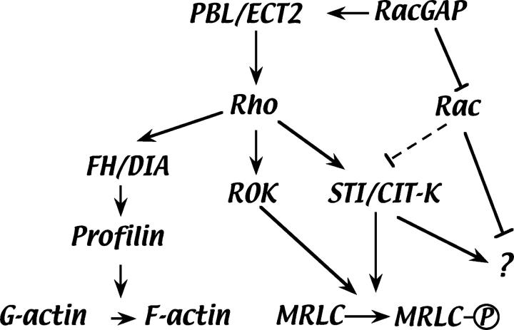https://cdn.ncbi.nlm.nih.gov/pmc/blobs/18bd/2172139/9f2a7b6cd436/200402157f8.jpg