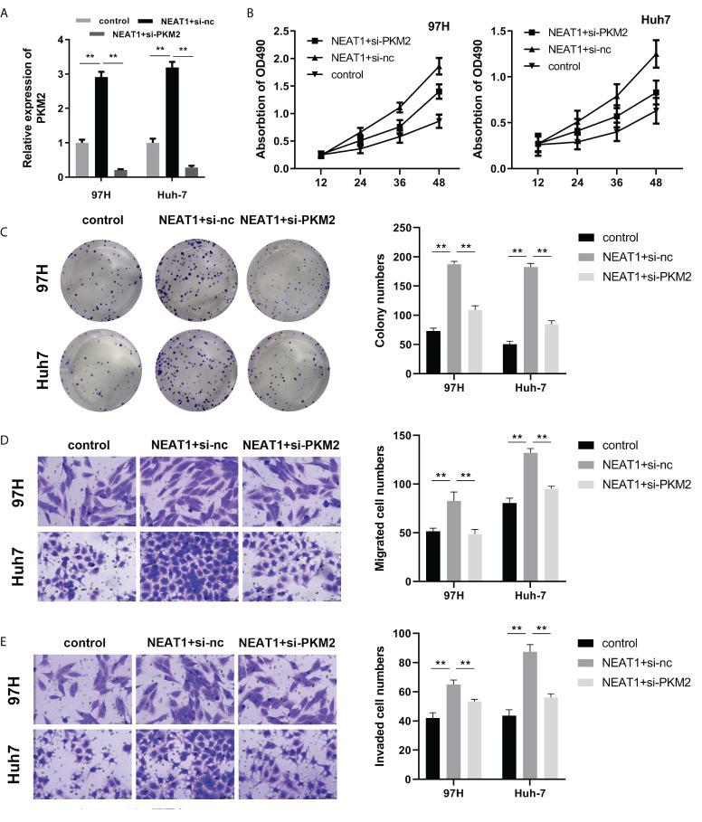 https://cdn.ncbi.nlm.nih.gov/pmc/blobs/18bd/9521570/1face0772c4b/fonc-12-928022-g004.jpg