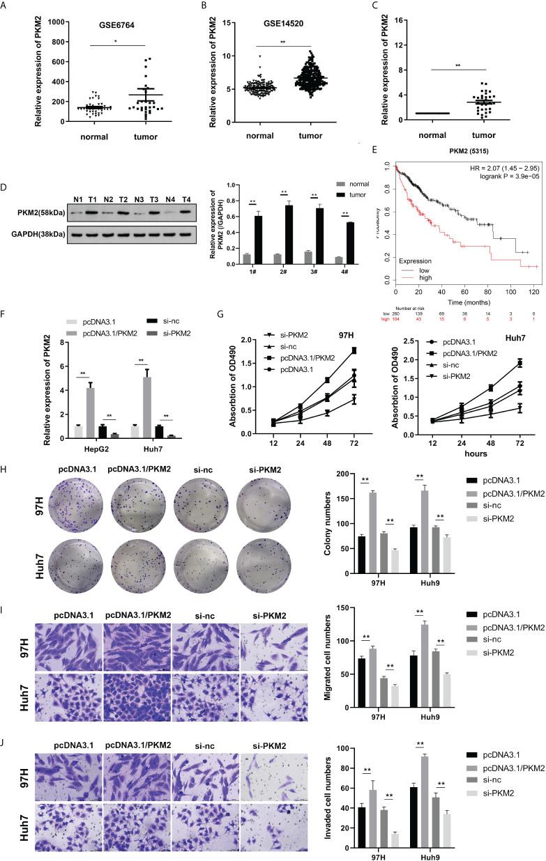 https://cdn.ncbi.nlm.nih.gov/pmc/blobs/18bd/9521570/208e0f18938b/fonc-12-928022-g003.jpg