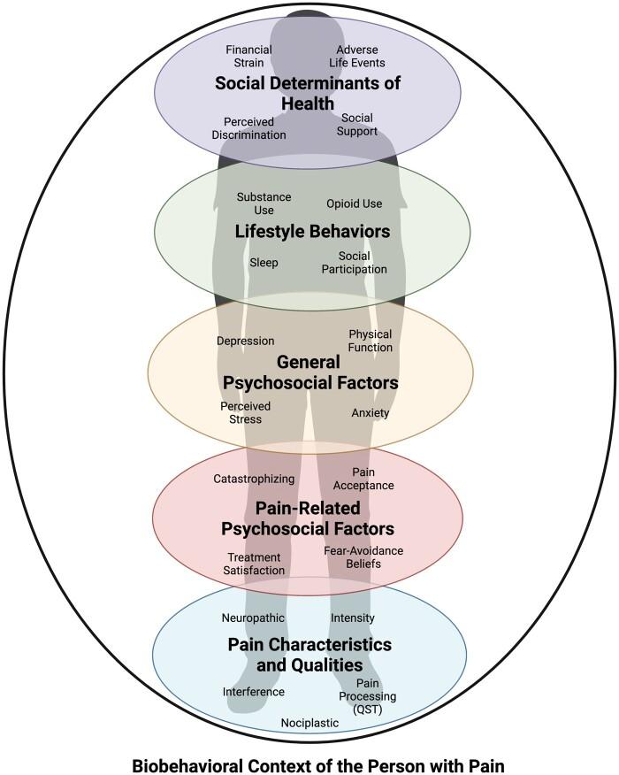 https://cdn.ncbi.nlm.nih.gov/pmc/blobs/18c0/10403301/baf8c84b967f/pnac175f1.jpg