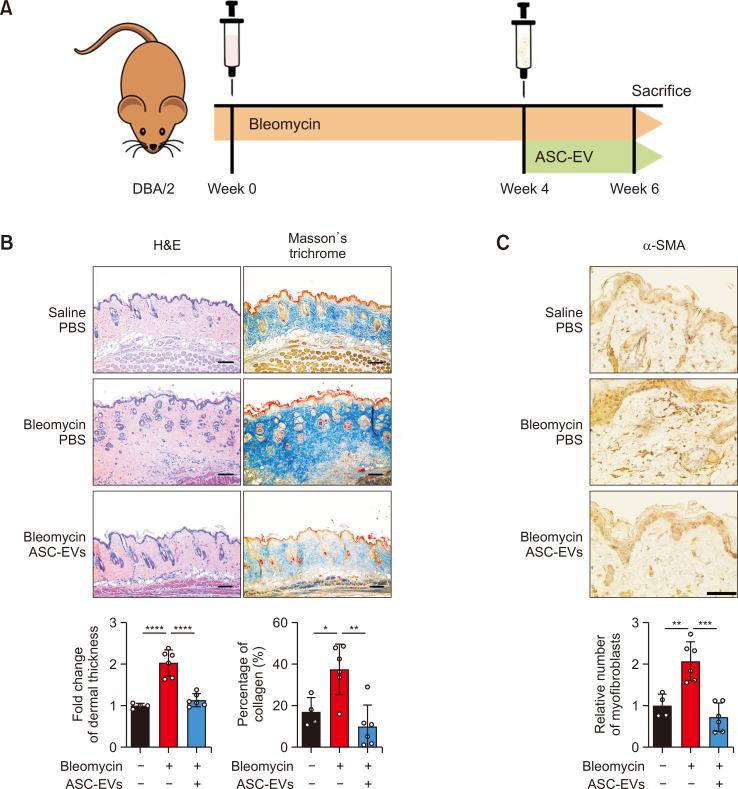 https://cdn.ncbi.nlm.nih.gov/pmc/blobs/18c3/11214968/18509bcfc700/bt-32-4-432-f3.jpg
