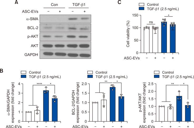 https://cdn.ncbi.nlm.nih.gov/pmc/blobs/18c3/11214968/4cbd76d4bba7/bt-32-4-432-f6.jpg