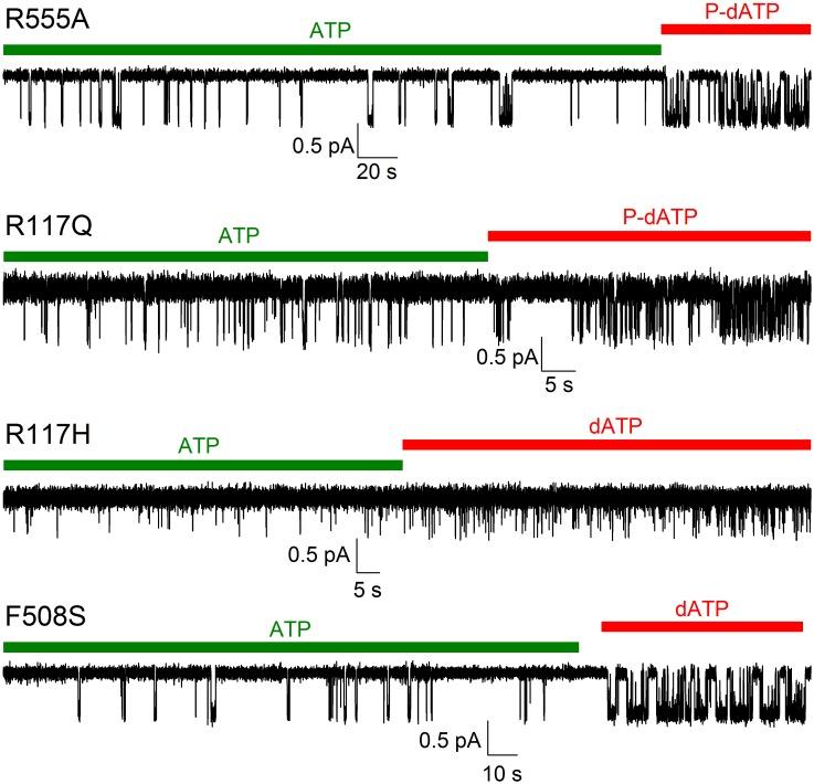 https://cdn.ncbi.nlm.nih.gov/pmc/blobs/18c5/5626490/3d2085ef7e5b/elife-29013-fig2-figsupp2.jpg