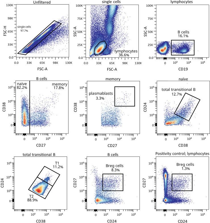 https://cdn.ncbi.nlm.nih.gov/pmc/blobs/18c6/8904370/a035d5c12f2c/fimmu-13-825426-g004.jpg