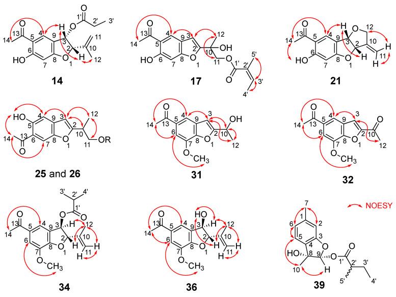 https://cdn.ncbi.nlm.nih.gov/pmc/blobs/18c6/9787490/fca2e54b8309/molecules-27-08856-g008.jpg