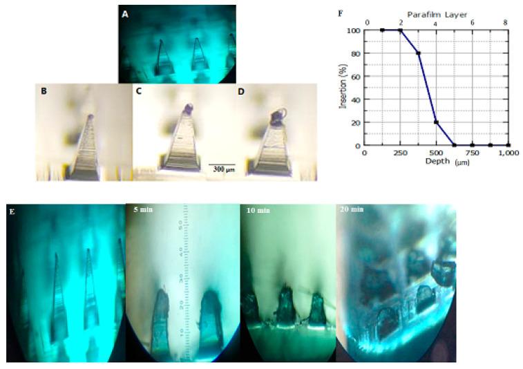 https://cdn.ncbi.nlm.nih.gov/pmc/blobs/18c7/10145612/d7118be768e5/polymers-15-01962-g006.jpg