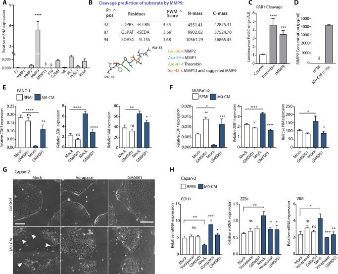 https://cdn.ncbi.nlm.nih.gov/pmc/blobs/18c8/7717035/b6294de6c7b2/13402_2020_549_Fig4_HTML.jpg