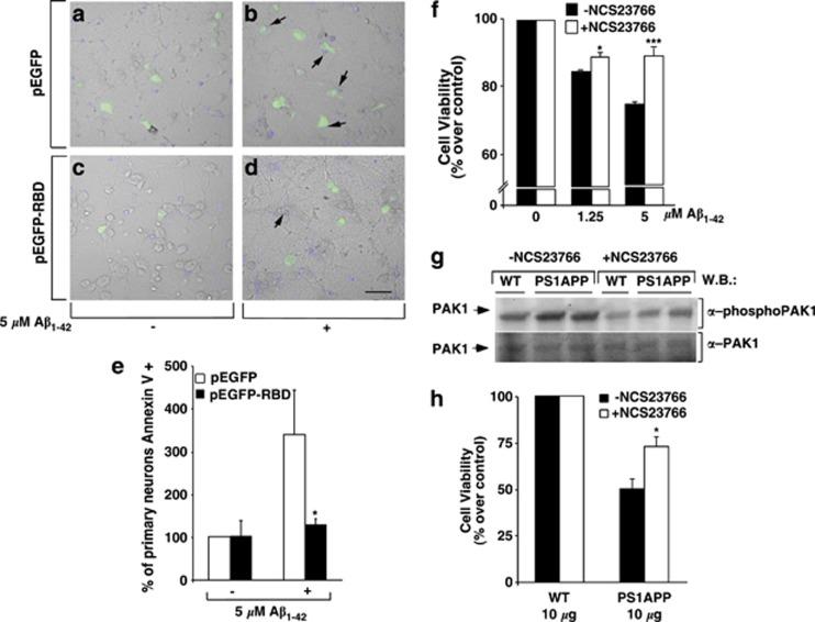 https://cdn.ncbi.nlm.nih.gov/pmc/blobs/18c9/3566727/05d5c3370952/tp2012147f4.jpg