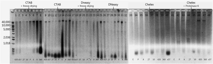 https://cdn.ncbi.nlm.nih.gov/pmc/blobs/18ca/8790498/a642cc44f7af/gr2.jpg