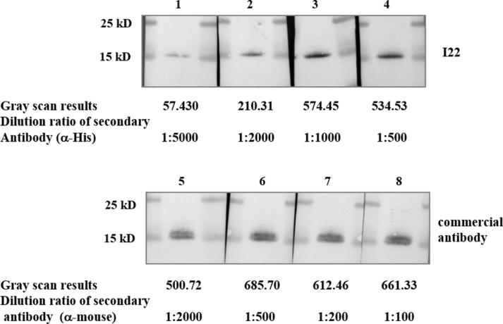 https://cdn.ncbi.nlm.nih.gov/pmc/blobs/18cb/9091920/06dc7147359c/figs2.jpg