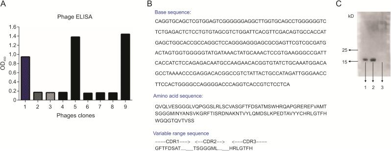 https://cdn.ncbi.nlm.nih.gov/pmc/blobs/18cb/9091920/fbe719c24fb7/gr2.jpg