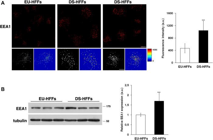 https://cdn.ncbi.nlm.nih.gov/pmc/blobs/18cd/9136301/3a41703d7d39/fgene-13-867989-g001.jpg