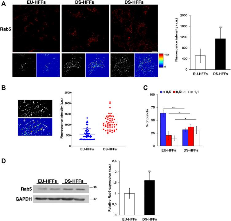 https://cdn.ncbi.nlm.nih.gov/pmc/blobs/18cd/9136301/7dccb7a5a118/fgene-13-867989-g003.jpg