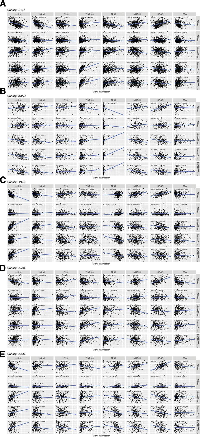 https://cdn.ncbi.nlm.nih.gov/pmc/blobs/18ce/10727548/6ed7f545c0c0/medi-102-e36001-g008.jpg