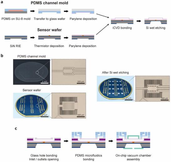 https://cdn.ncbi.nlm.nih.gov/pmc/blobs/18cf/12366266/c449db277b6f/SMLL-21-2504872-g003.jpg