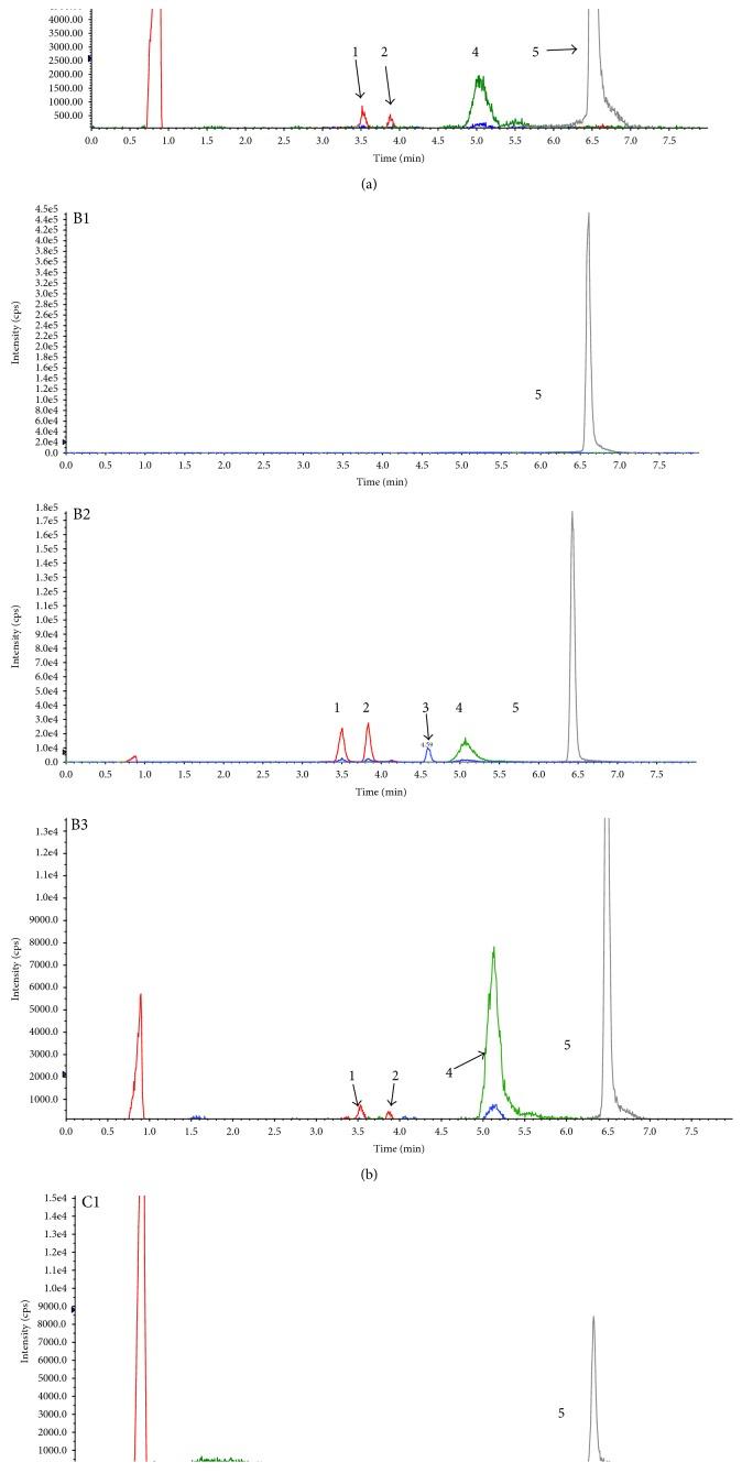 https://cdn.ncbi.nlm.nih.gov/pmc/blobs/18cf/5377058/f03b30153d60/JOPH2017-4052094.002.jpg