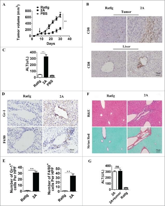 https://cdn.ncbi.nlm.nih.gov/pmc/blobs/18d1/5889198/94eafd7efaef/koni-07-04-1296996-g001.jpg
