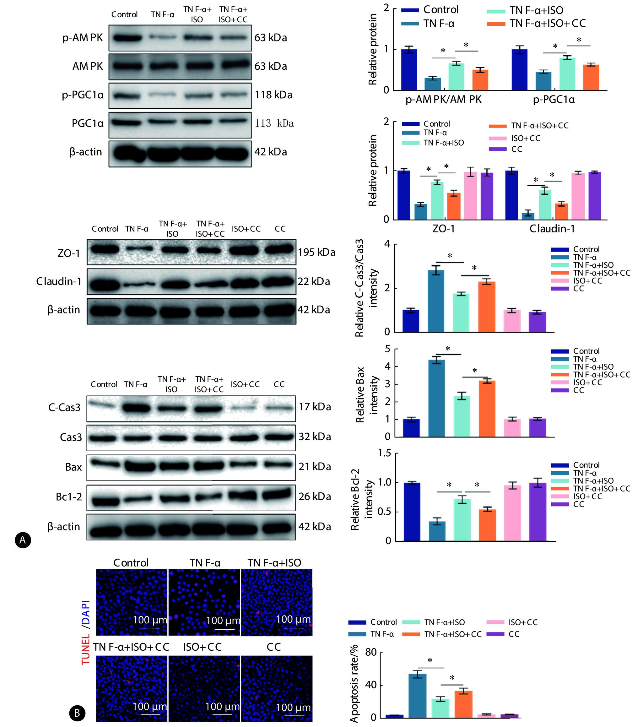 https://cdn.ncbi.nlm.nih.gov/pmc/blobs/18d3/11536240/14e68152094b/scdxxbyxb-55-5-1175-8.jpg