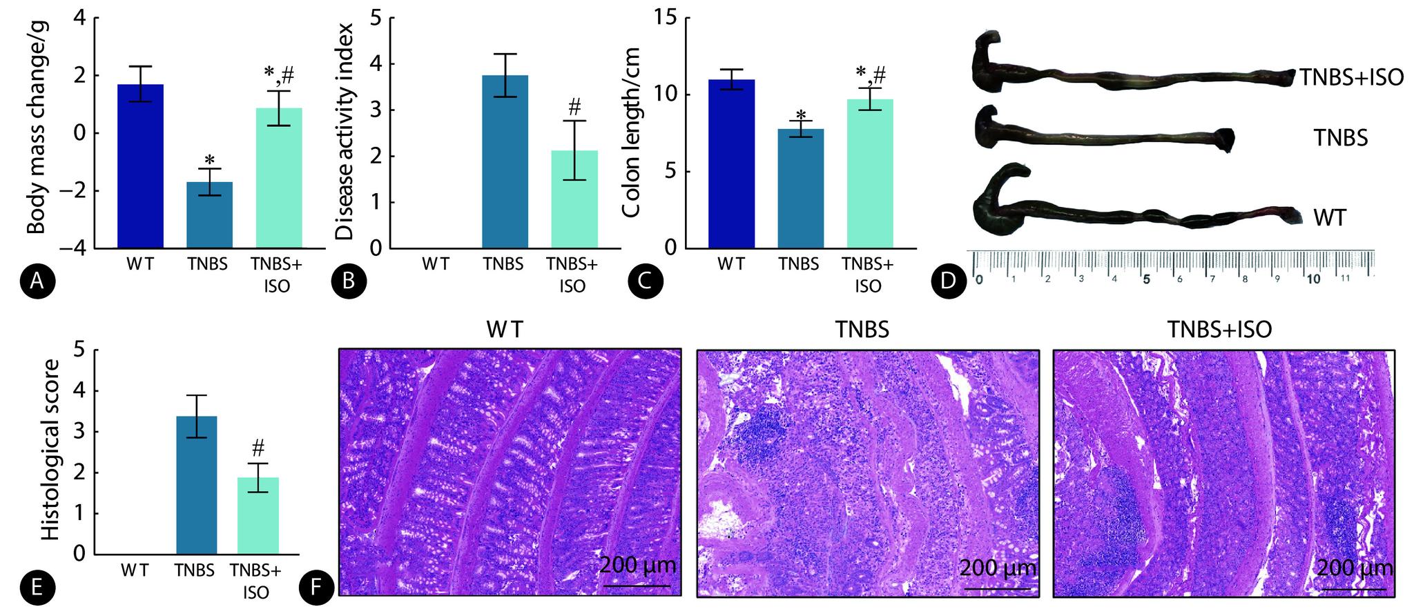 https://cdn.ncbi.nlm.nih.gov/pmc/blobs/18d3/11536240/c67ee763349d/scdxxbyxb-55-5-1175-1.jpg