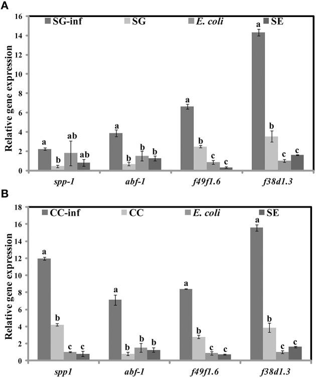 https://cdn.ncbi.nlm.nih.gov/pmc/blobs/18d4/4814495/a2cb44e6c629/fmicb-07-00421-g0009.jpg