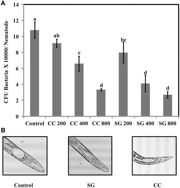 https://cdn.ncbi.nlm.nih.gov/pmc/blobs/18d4/4814495/d29f16e25489/fmicb-07-00421-g0008.jpg