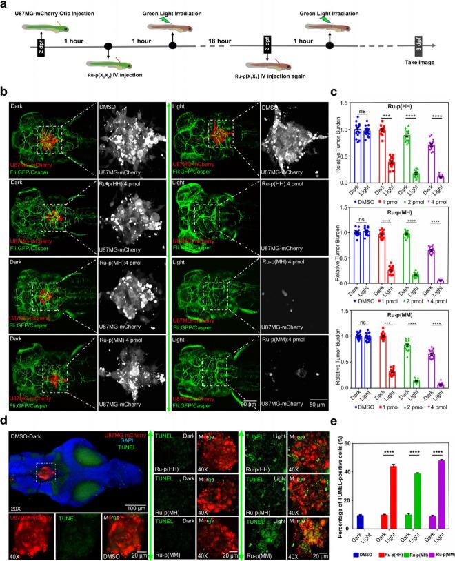 https://cdn.ncbi.nlm.nih.gov/pmc/blobs/18d7/11672551/9c56471cddc1/oc4c01173_0006.jpg