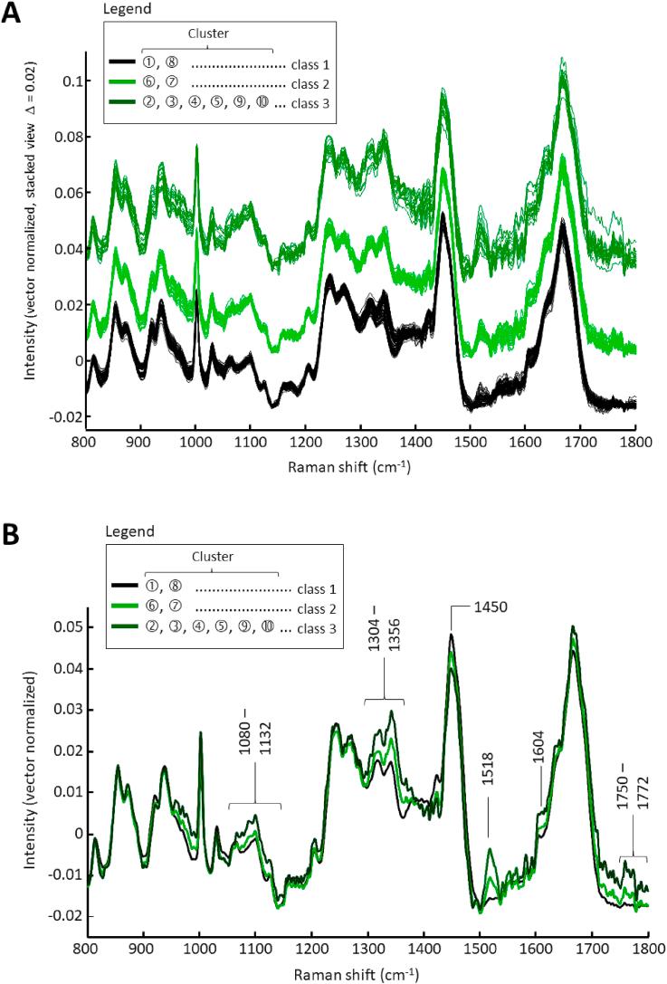https://cdn.ncbi.nlm.nih.gov/pmc/blobs/18d7/9898066/3215f0c11011/gr6.jpg